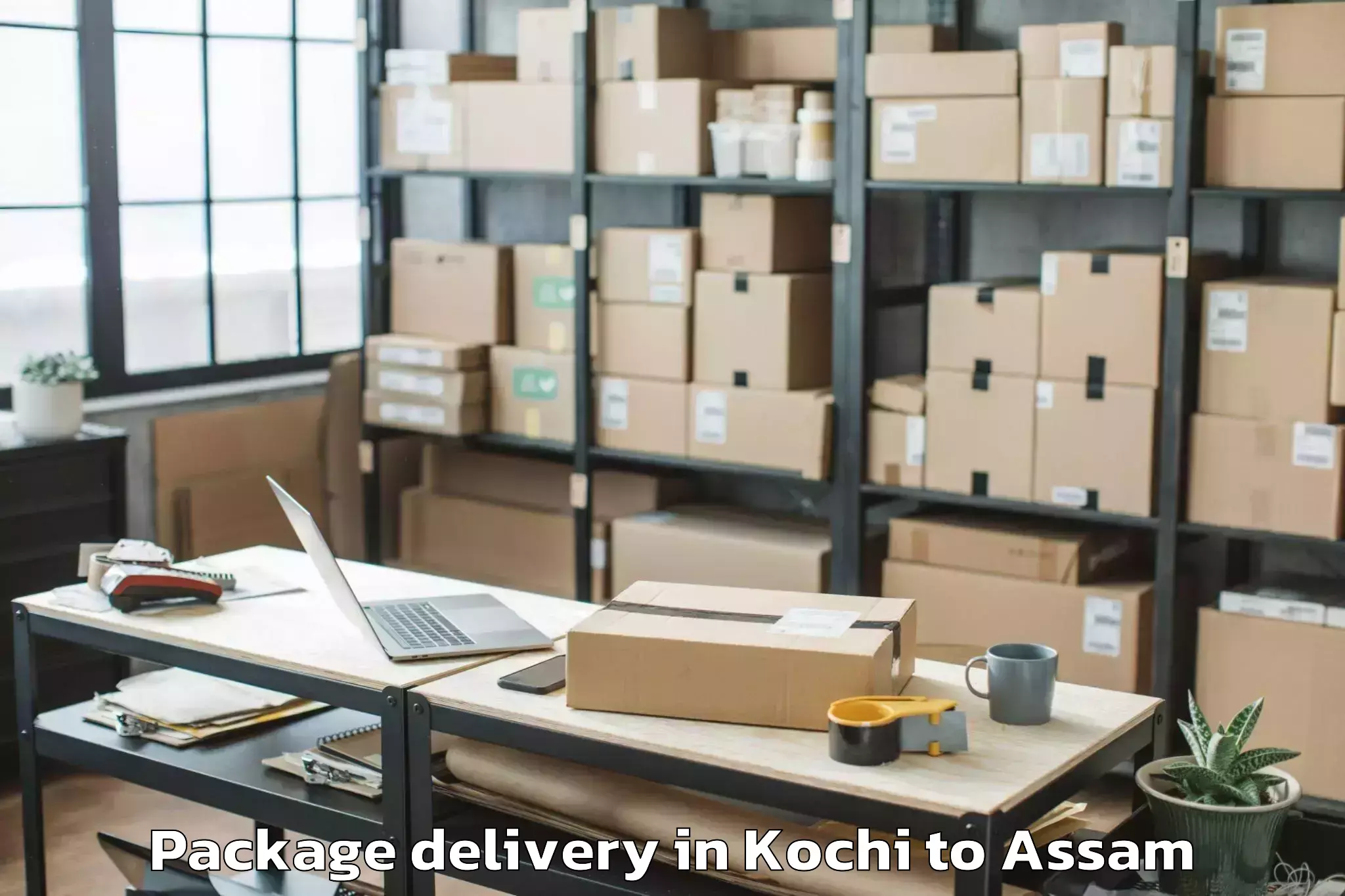 Top Kochi to Bokajan Package Delivery Available